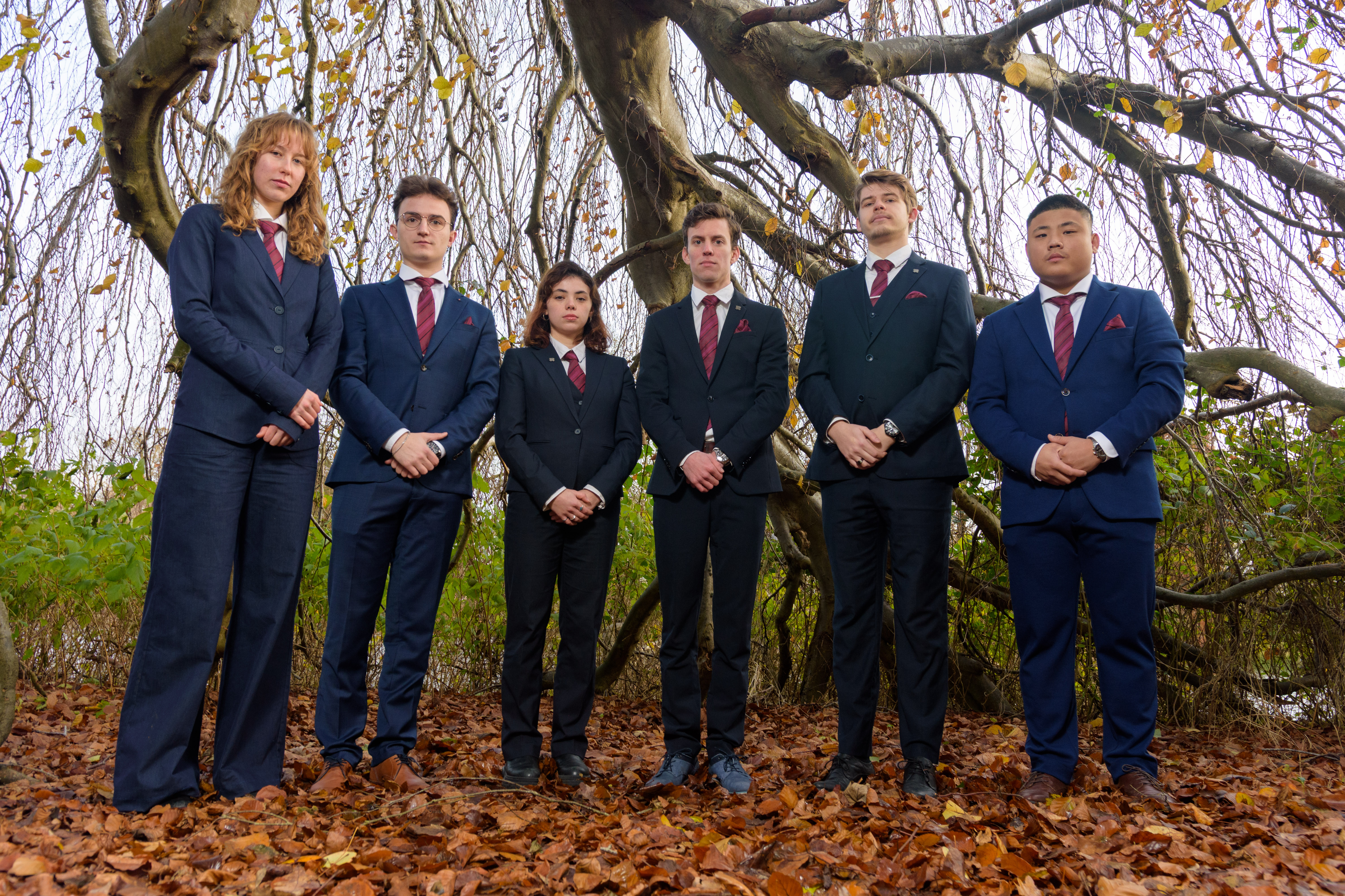 Board of Buixie 2026